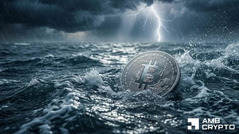 Bitcoin Price Pullback Sparks Capitulation Fears